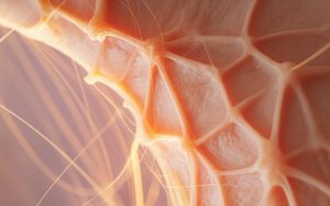 The 8 Domains of Nervous System Optimization: Unlocking Peak Brain and Body Performance