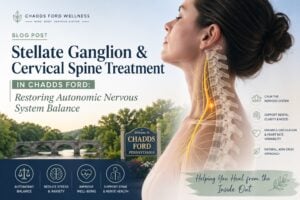 Stellate Ganglion & Cervical Spine Treatment in Chadds Ford: Restoring Autonomic Nervous System Balance