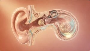 Vertigo & Gastroparesis